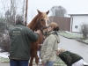 Susi mit Joey - Bilder von Maria Berger.